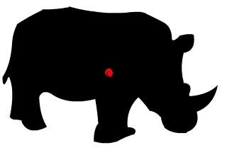 My Rhino, with all the shape hint points in the middle, red