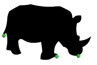 My Rhino, with all the shape hint points out its outline, green
