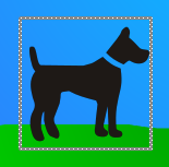 A dog image, sitting as a square block on the background.